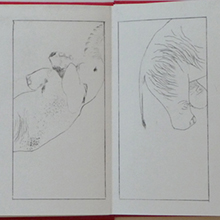 elephant web thumbnail