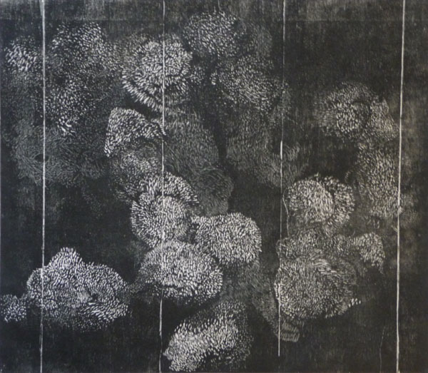 lichen woodcut_web